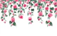 Pothos Ivy Rose Garland Dream 2