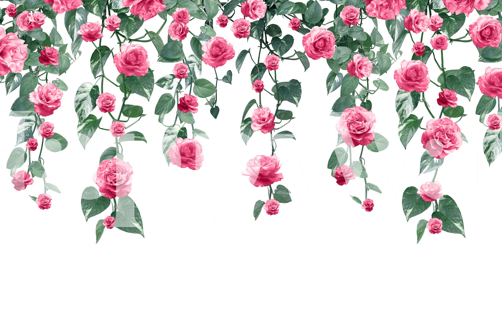 Pothos Ivy Rose Garland Dream 2 tapetti huoneessa.