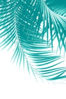 Palm Leaves Soft Turquoise 1 tapete