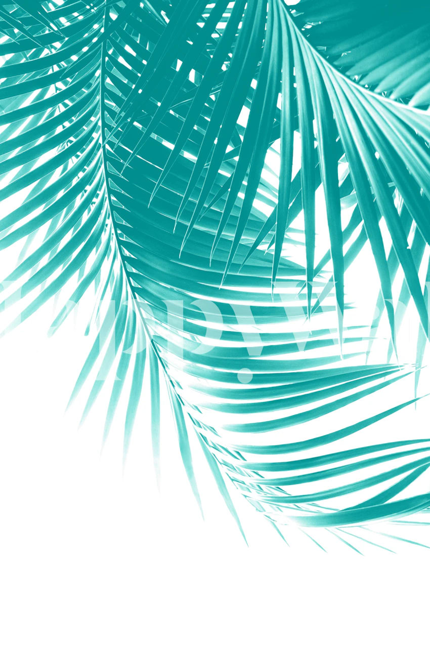 Palm Leaves tapet i Soft Turquoise