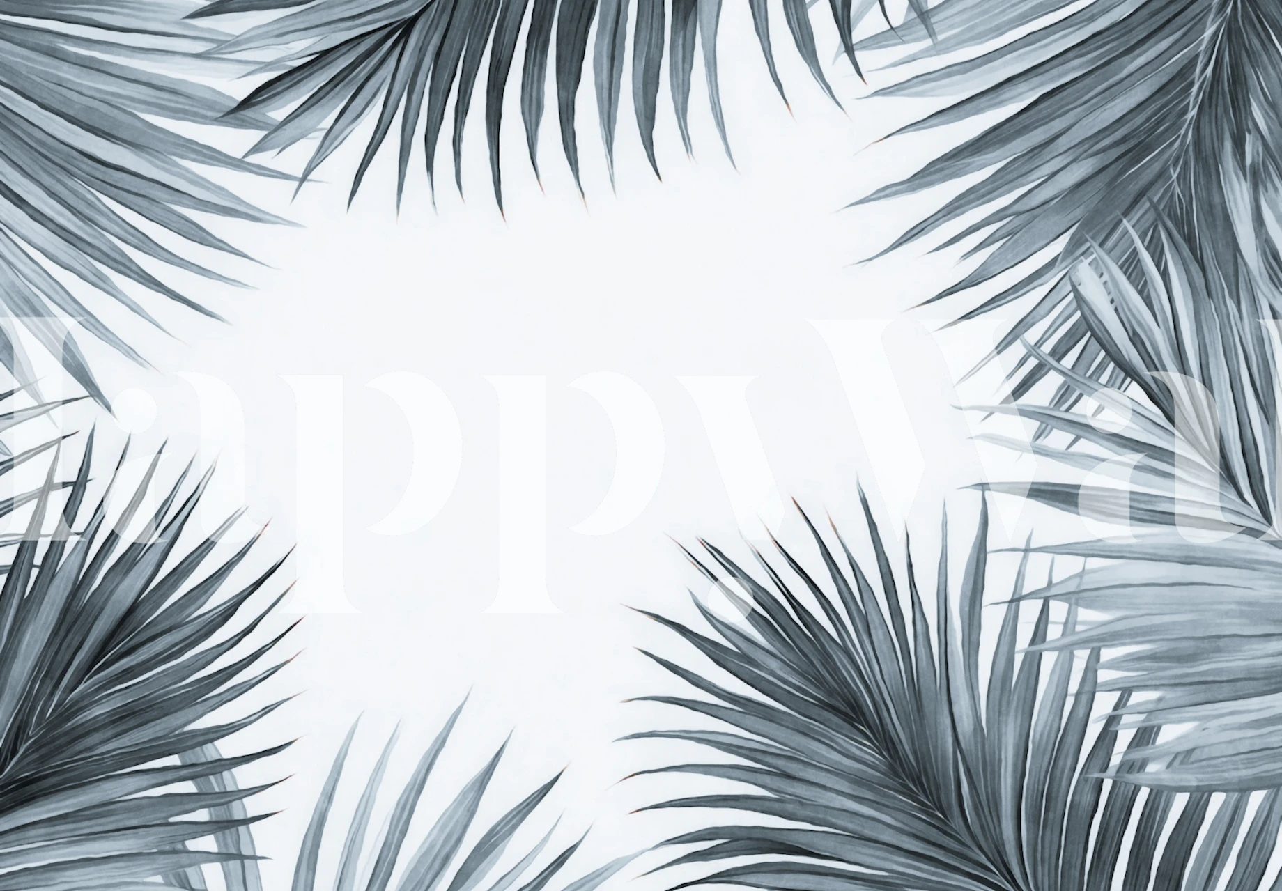 Tropical palm leaves in grey framing a blank center wall mural