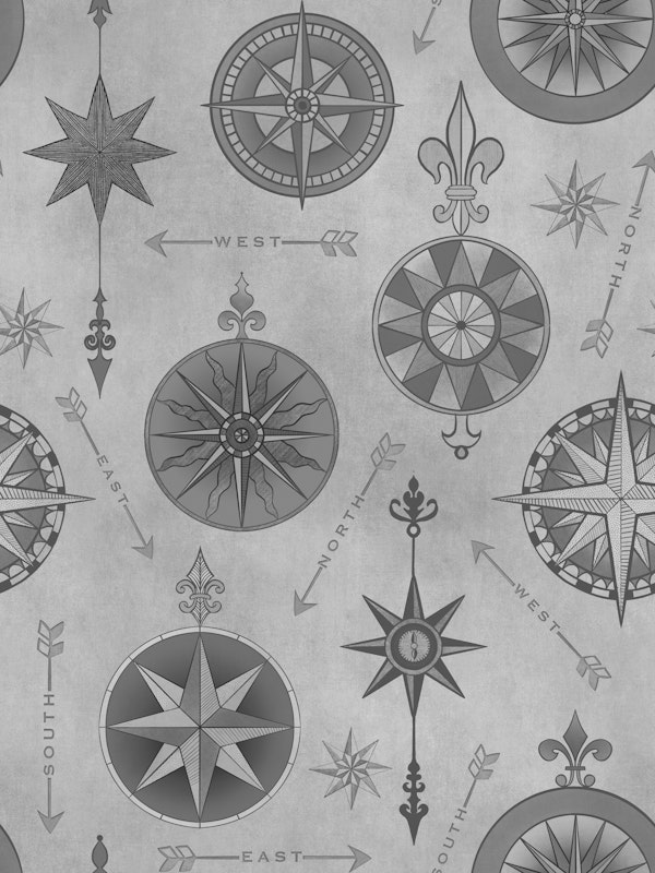 Explore The World Vintage Compass Pattern Grey