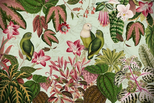 Exotic Rainforest With Tropical Parrots