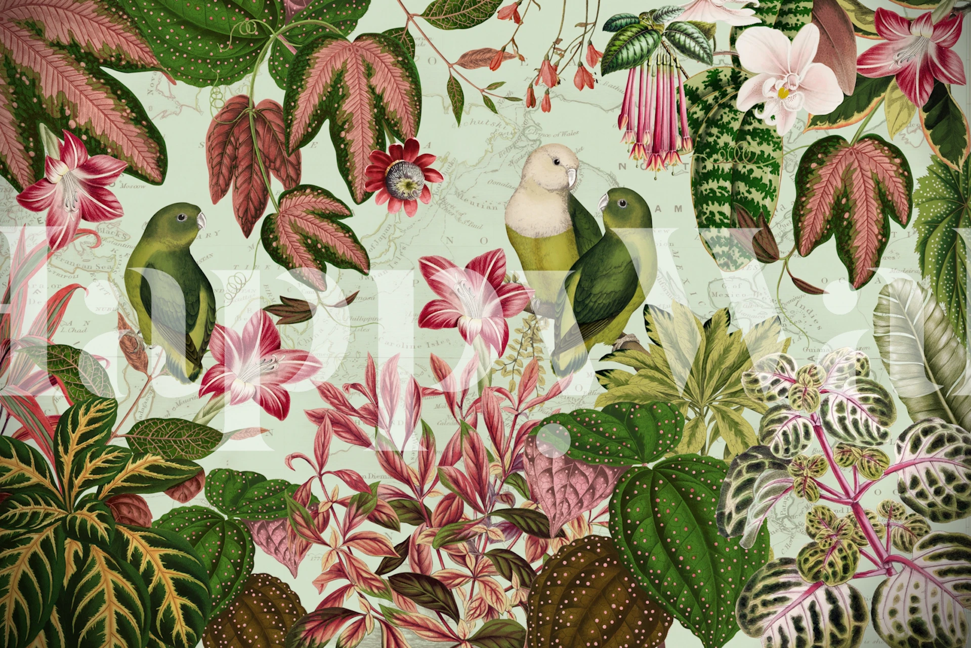 Exotic rainforest wallpaper with tropical parrots