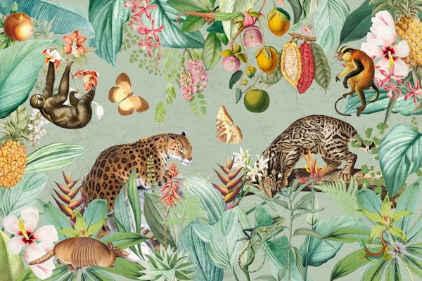 Fantasy Exotic Vintage Animals Rainforest