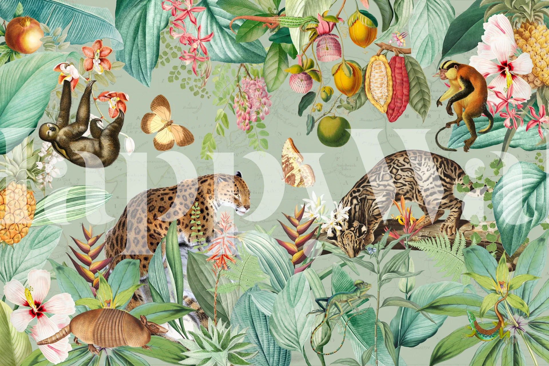 Tropical animal wallpaper with leopards, sloths, and vibrant flora