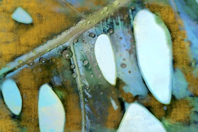 Mural