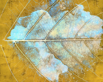 Mural