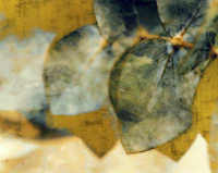 Midnight Leaf papel pintado