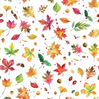 Autumn Nature Forest Leaves Small papiers peint