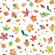 Autumn Nature Forest Leaves 2