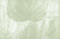 Green Japandi Leaf Grunge tapet