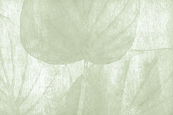 Green Japandi Leaf Grunge