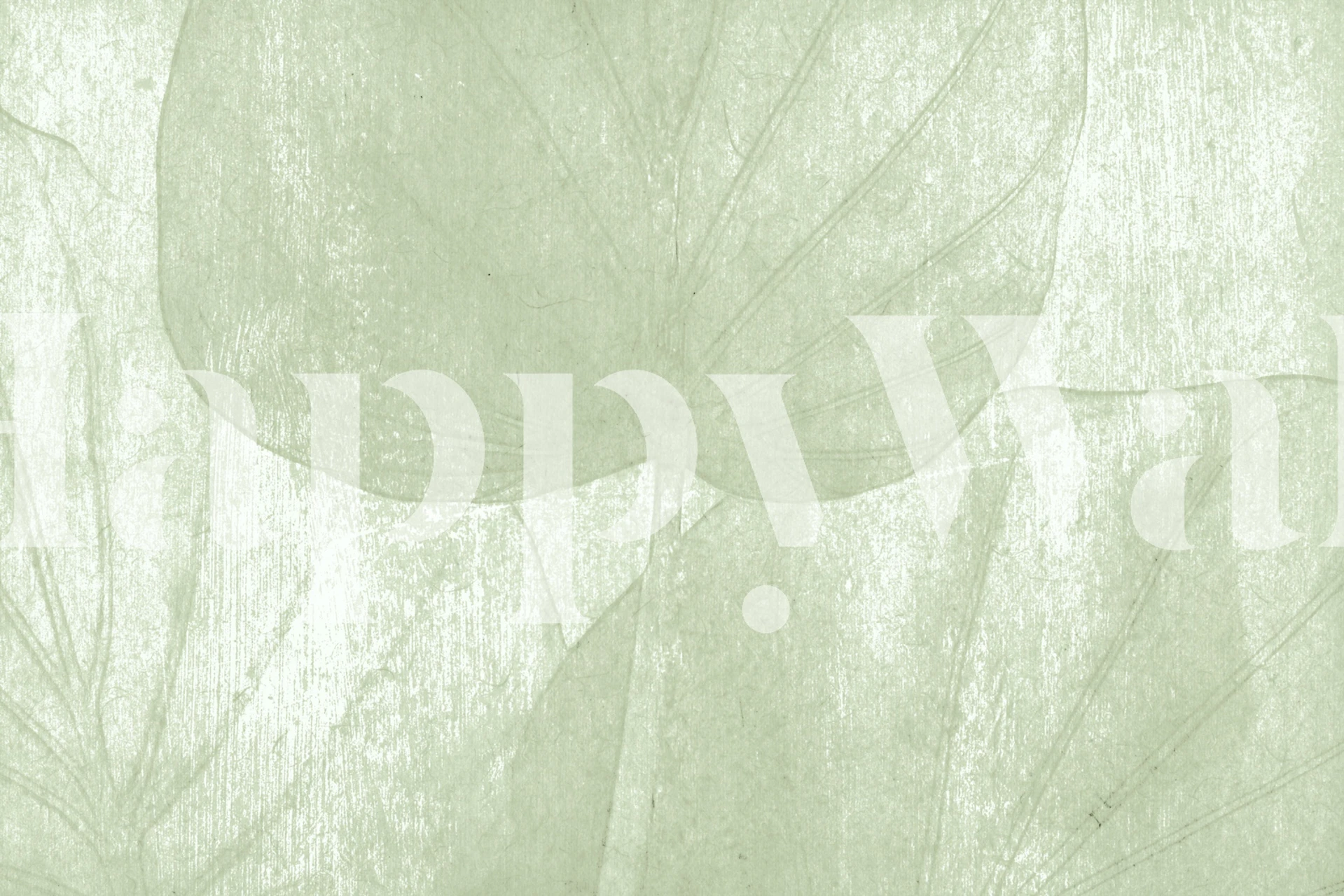 Green Japandi Leaf Grunge wallpaper in a room