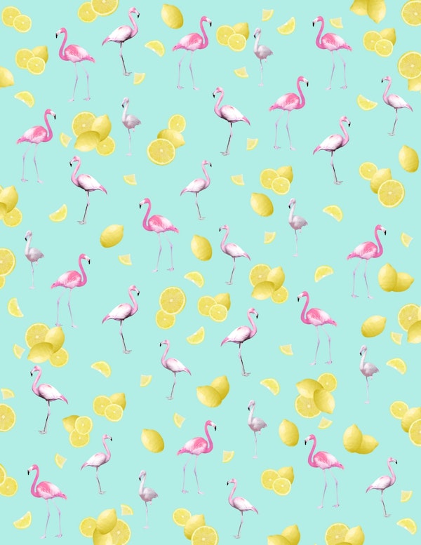 Flamingo Lemon Twist Summer 1