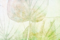 Sunny Japandi Leaf tapetit