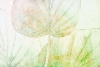 Sunny Japandi Leaf behang