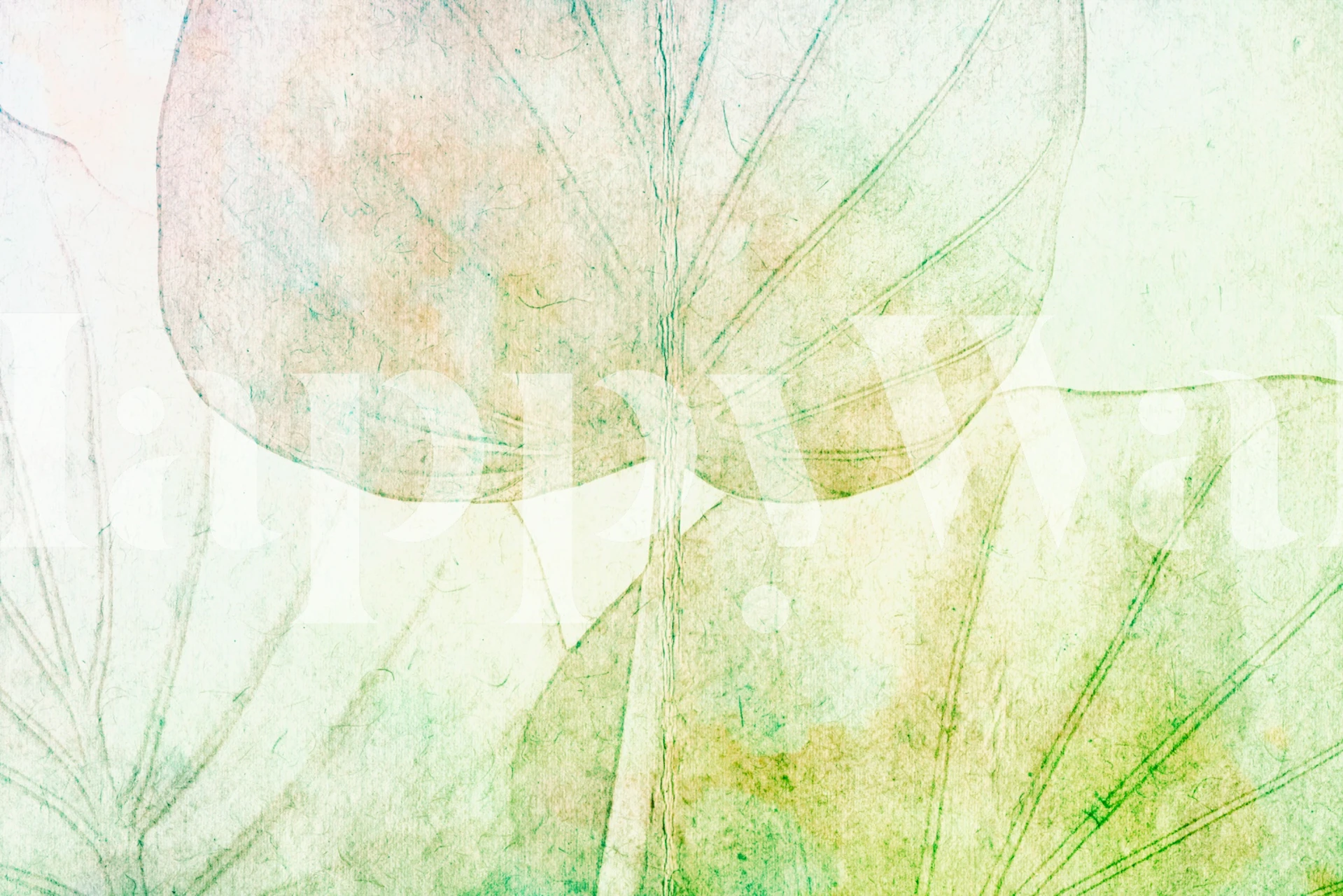 Large light green leaves with soft watercolor background wallpaper