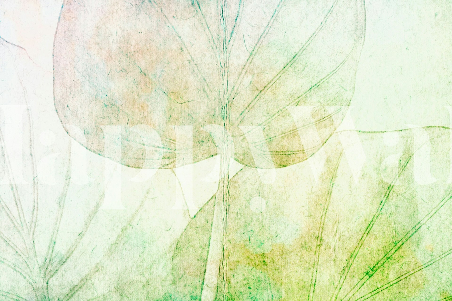 Large light green leaves with soft watercolor background wallpaper