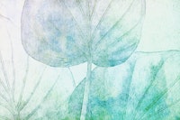 Teal Japandi Leaf tapete