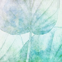 Teal Japandi Leaf tapetit