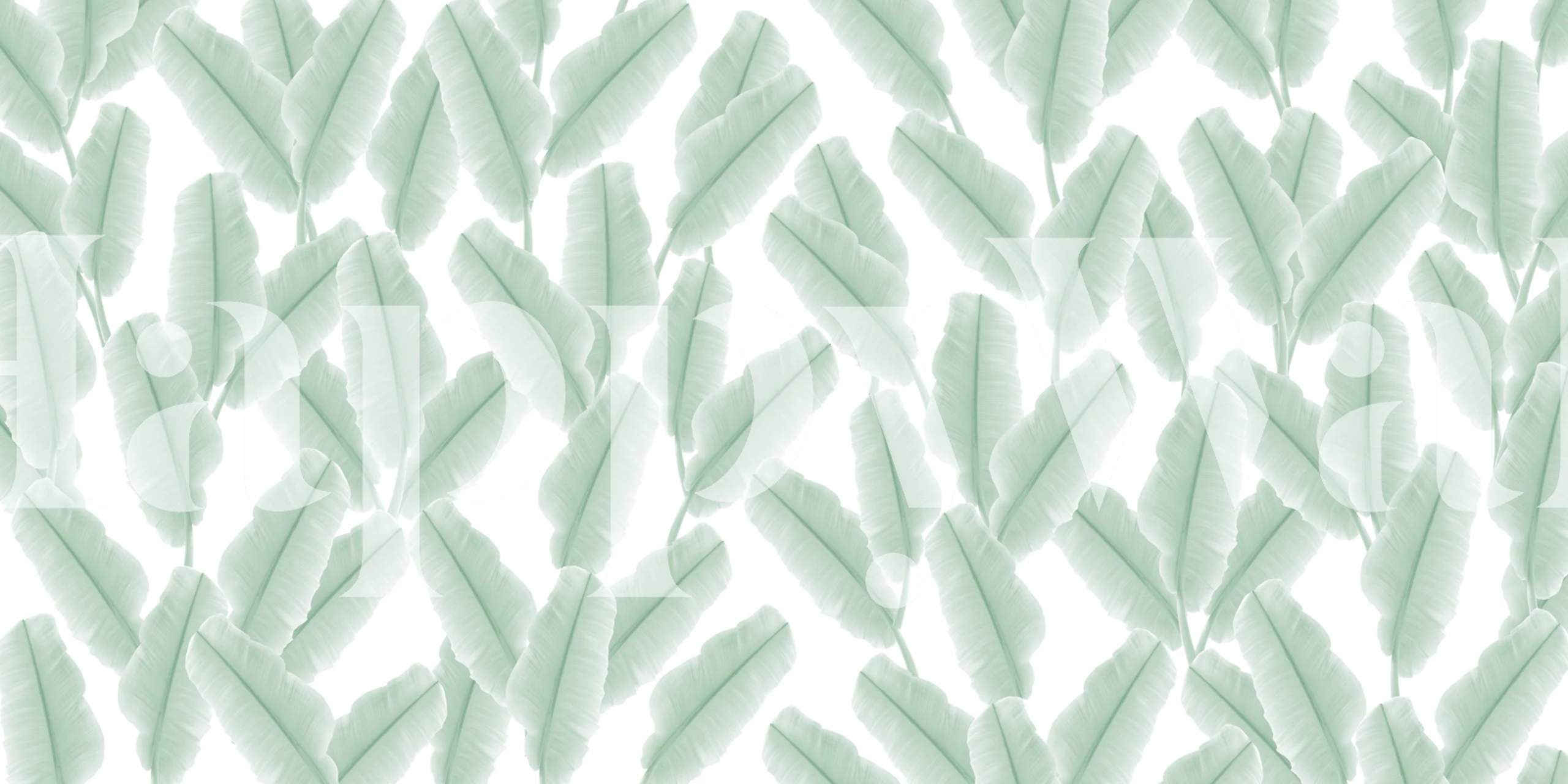 Tropical Banana Leaves Pattern 4 i ett rum