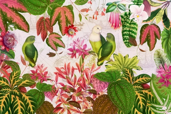 Blush Exotic Rainforest With Tropical Parrots