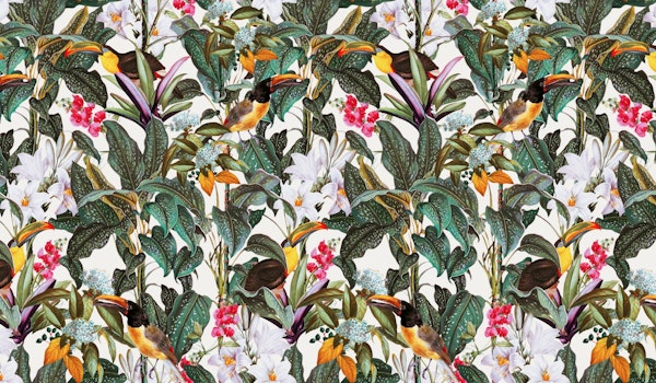 Tropical Toucan Garden I