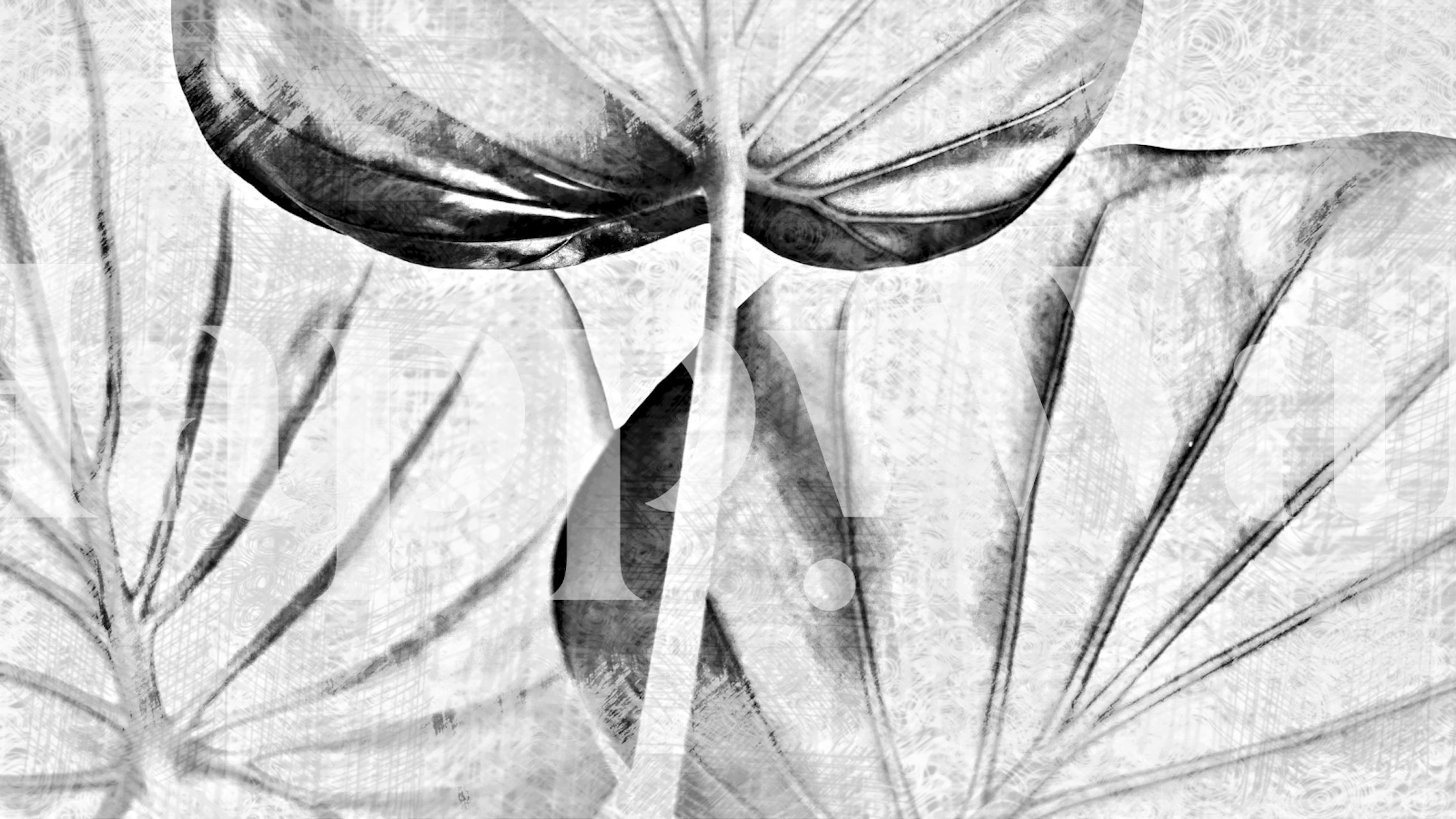 Tapeta Japan Leaves v nastavení místnosti