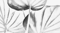 Japandi Leaf Drawing papiers peint