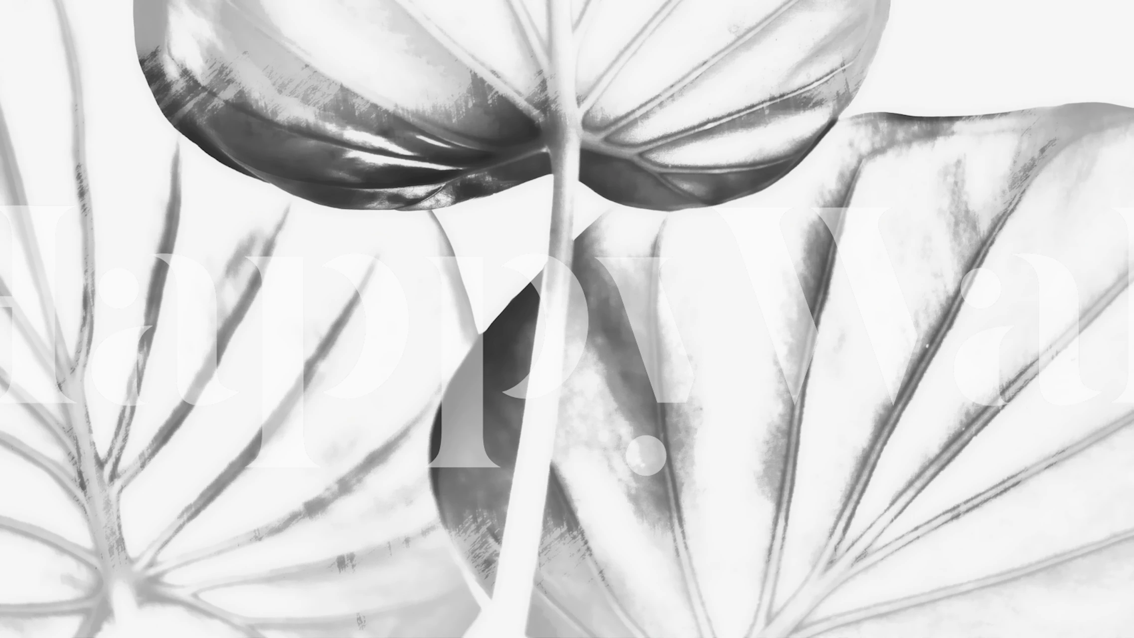 Japandi leaf drawing wallpaper in a room