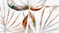 Neutral Japan Leaf tapeet