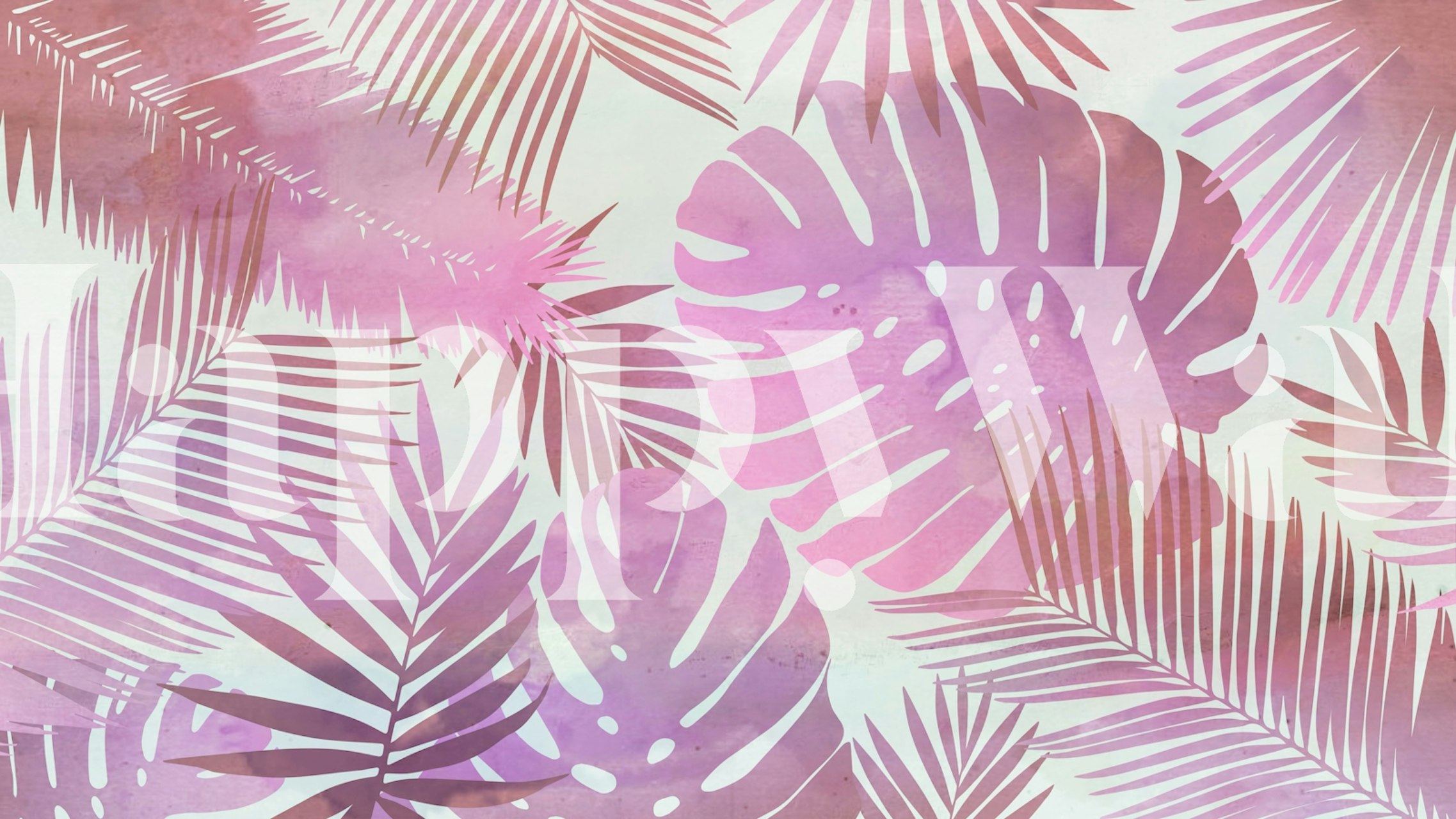 Tapeta Pink Tropical Jungle vystavená v místnosti