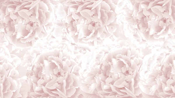 Blush Rose Peonies Dream 1 W2