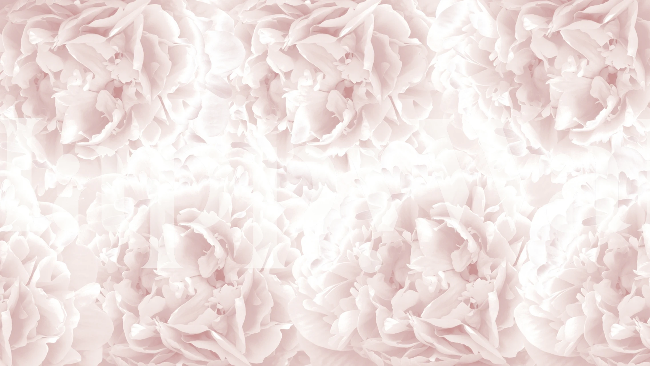 Blush pink peony floral design wallpaper