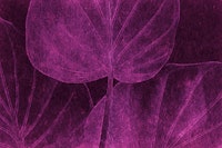 Mysterious Japandi Leaf Magenta tapet
