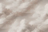 Nordic Canvas Clouds tapete