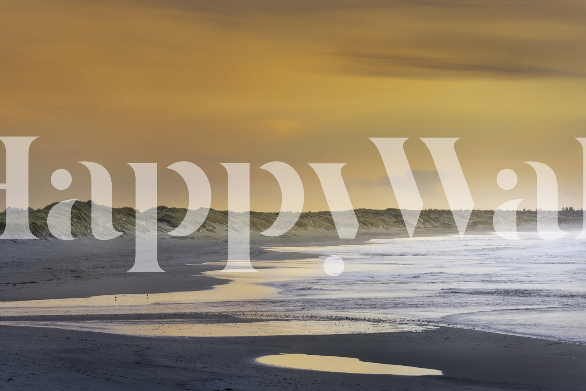 Winter beach wall mural with sunset and reflective wet sand