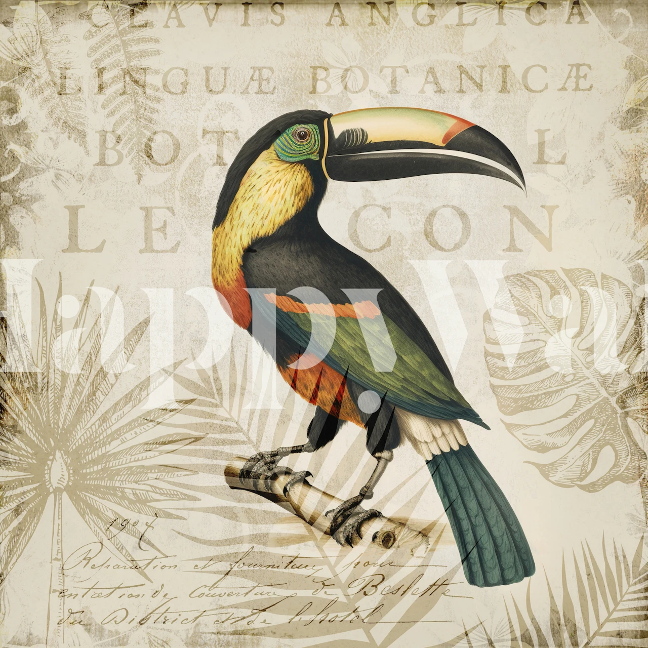 Toucans tropical wallpaper in a modern room