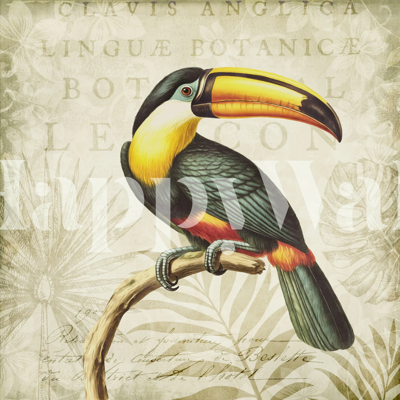 Toucans Tropical Hideaway in una stanza moderna