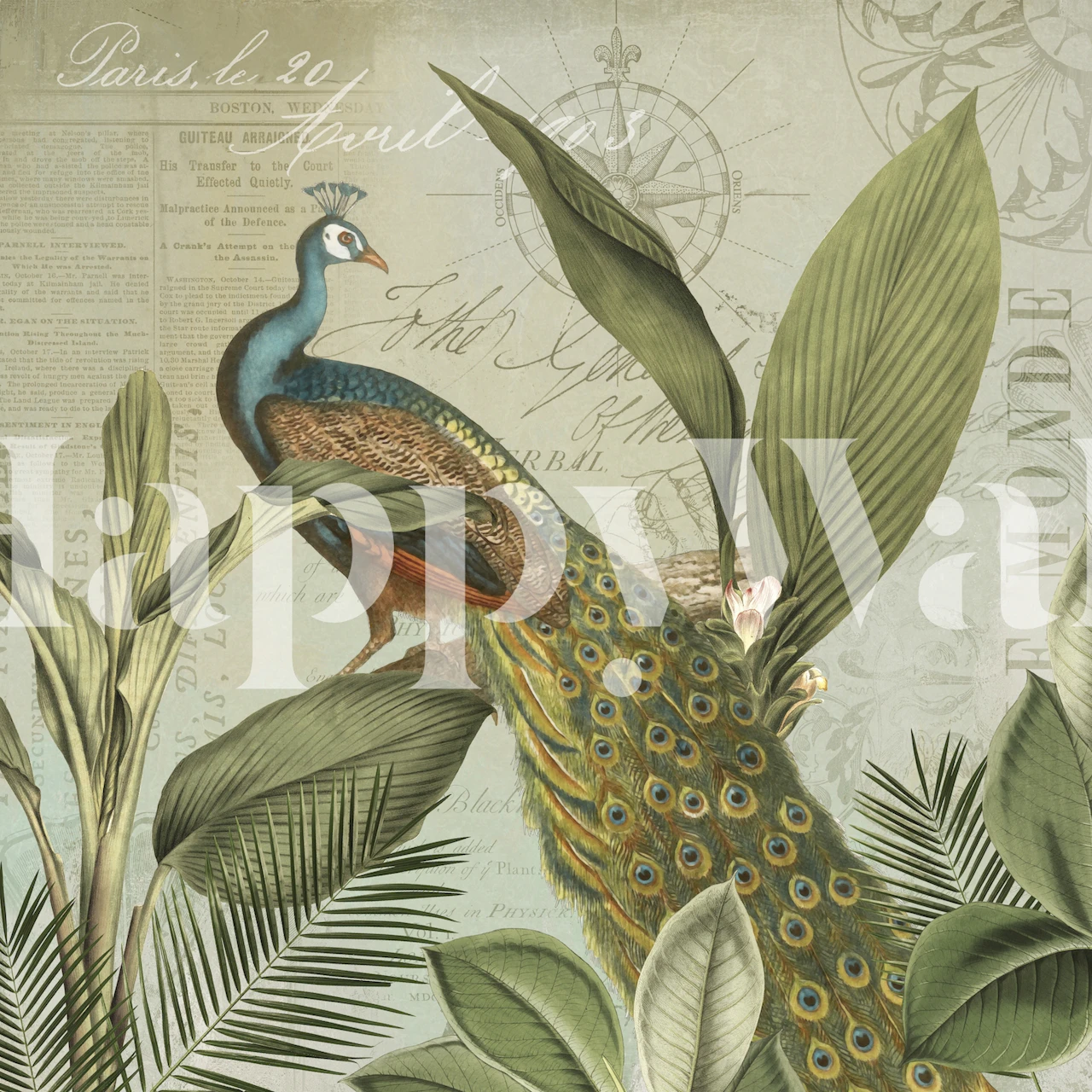 Peacock surrounded by tropical leaves floral wallpaper