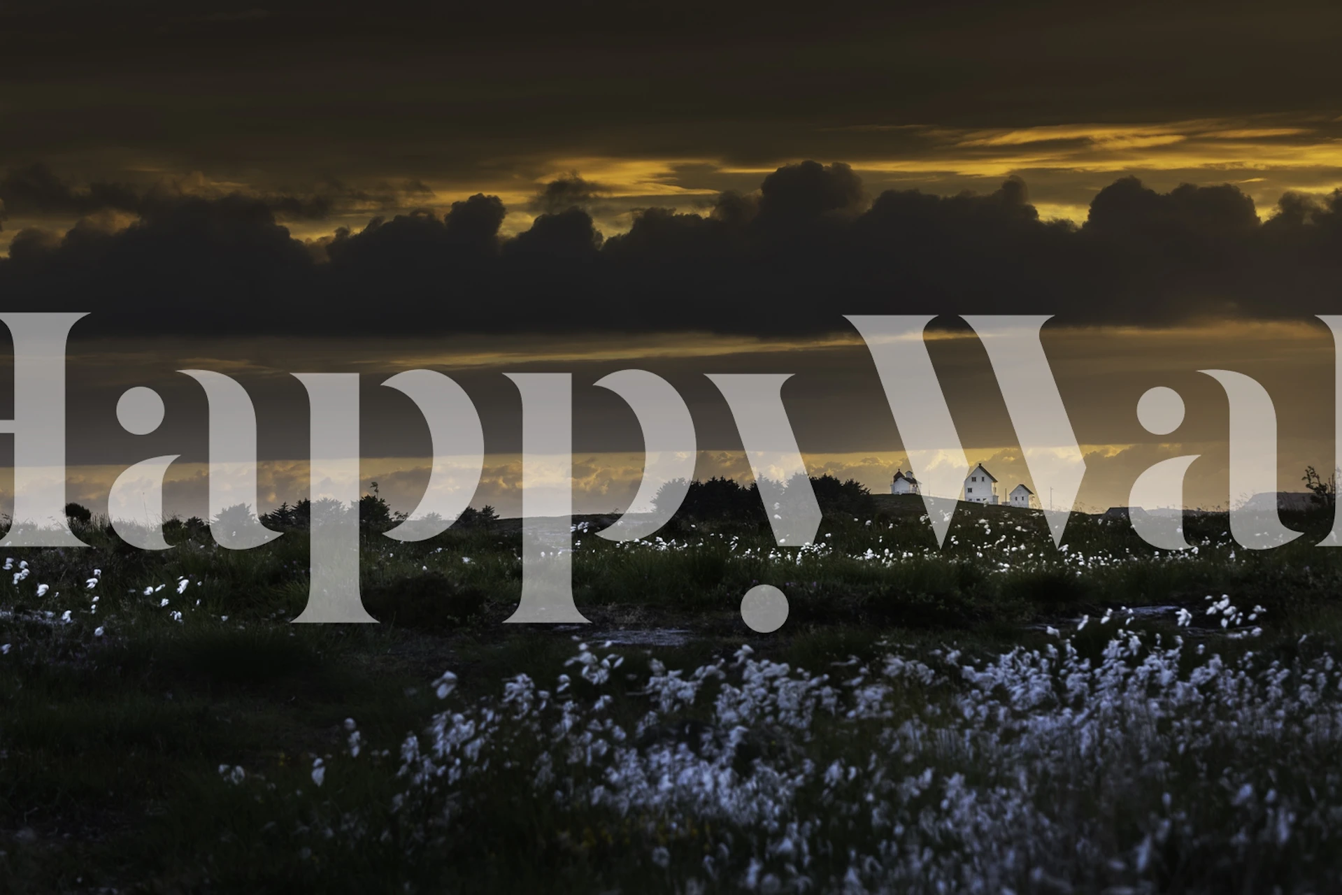 Scandinavian summer wallpaper in a room