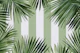 Tropical Oasis Frame And Stripes