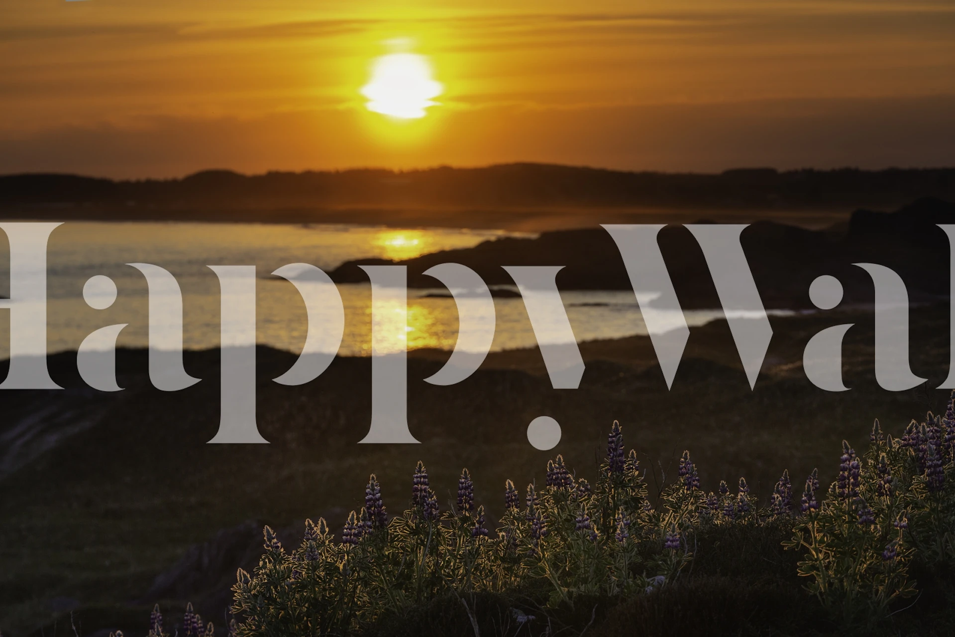 Wallpaper depicting the last sunrays over a tranquil landscape