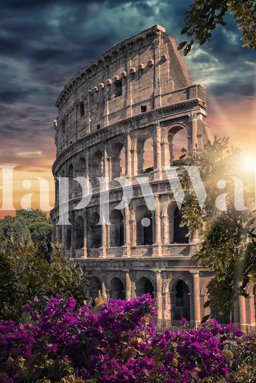 Mural de parede Colosseum Sunset com lavanda florescendo sob o brilho quente do sol poente