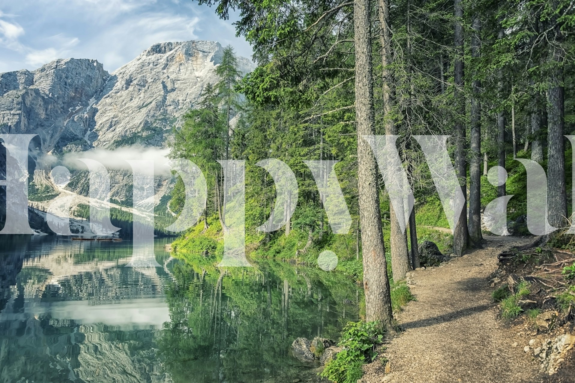 Tranquil lake scenery with a forest path leading towards mountains wall mural.