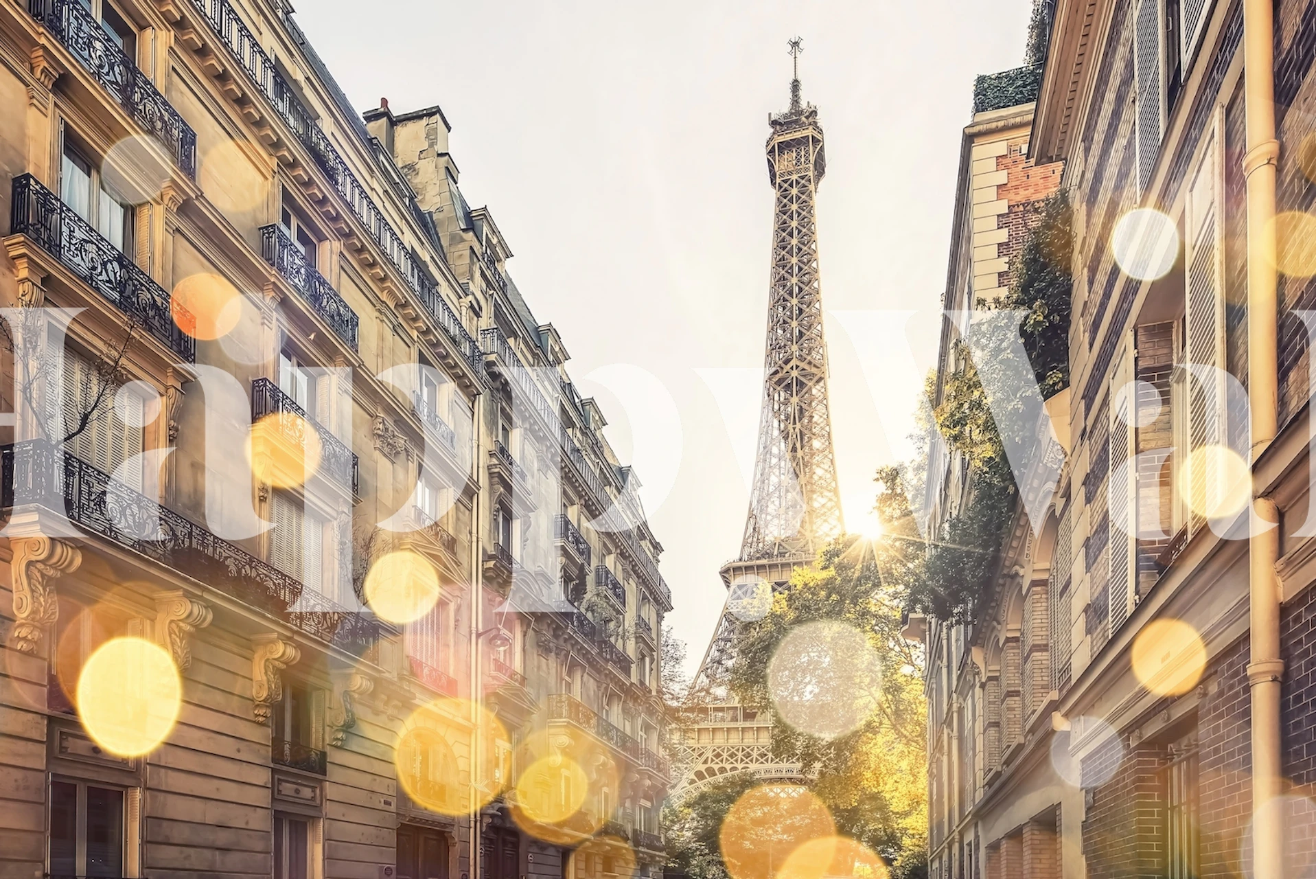 Sunlit Paris street Tapete in einem Raum