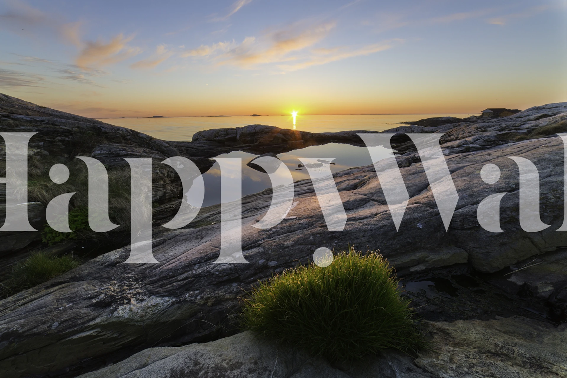 Wallpaper design featuring grass in sunset