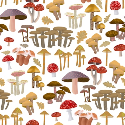 Pattern