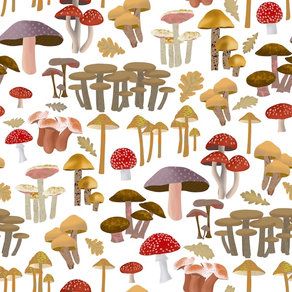 Mushroom Kingdom Art 1